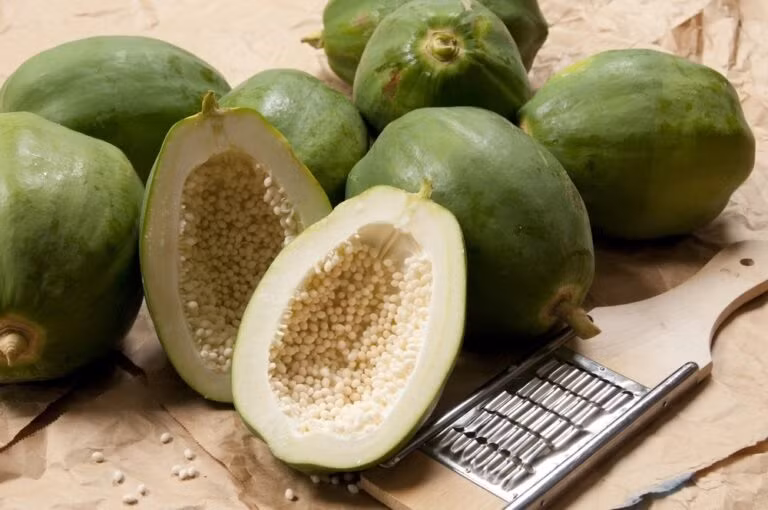 Người đau dạ dày không nên ăn đu đủ xanh bởi có khá nhiều nhựa, trong đó có chứa nhiều papain, làm mòn niêm mạc dạ dày. Những quả đại kỵ với người đau dạ dày nhiều người mắc phải