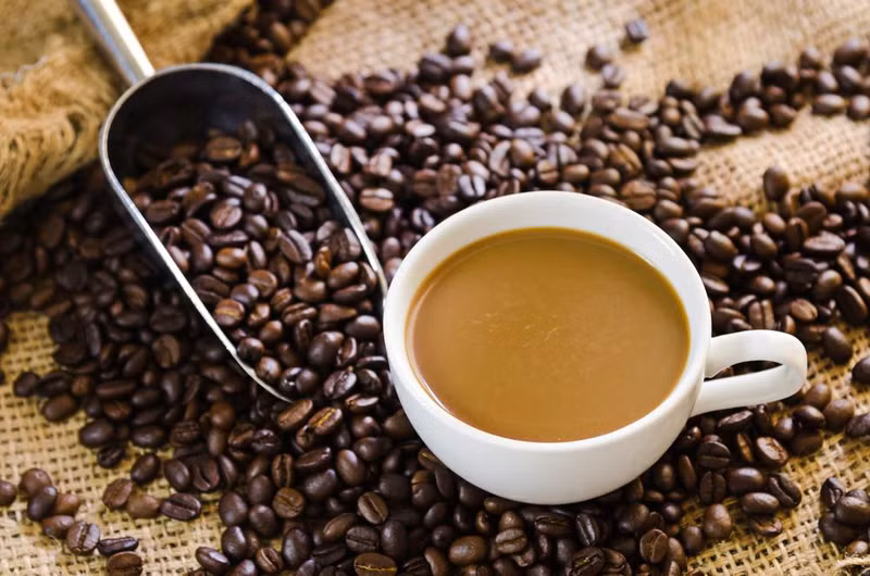 Thần dược giúp ngăn ngừa đầy lùi gan nhiễm mỡ