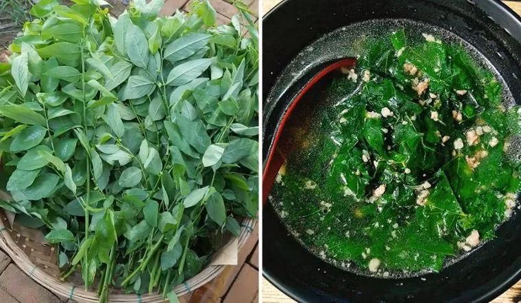 Top thực phẩm khắc tinh của ung thư gan, bán nhiều ở chợ Việt