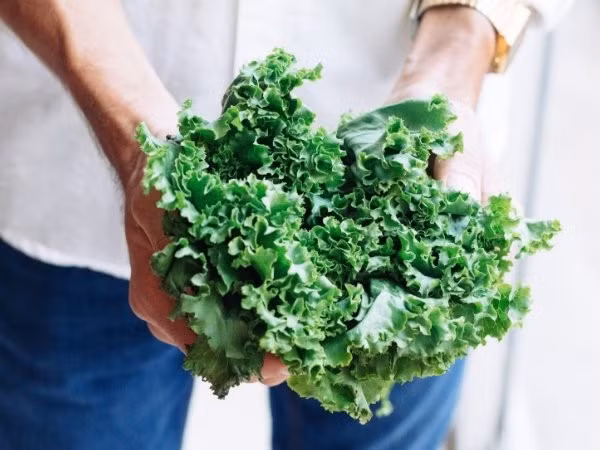 Cải xoăn chứa ít calo, nhưng lại có nhiều chất dinh dưỡng, vitamin K, A và C cũng như folate, mangan, canxi và chất xơ rất cần cho tim của bạn. Thực phẩm dễ mua cần bổ sung, giúp trái tim khoẻ mạnh ngày nắng nóng