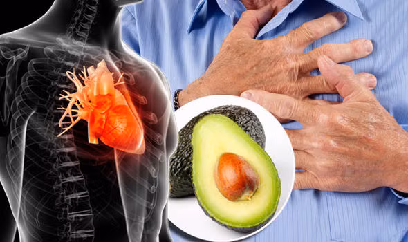 Bơ có nhiều vitamin C, chất xơ và carotenoid, có công dụng hỗ trợ điều trị bệnh tim mạch. Thực phẩm dễ mua cần bổ sung, giúp trái tim khoẻ mạnh ngày nắng nóng