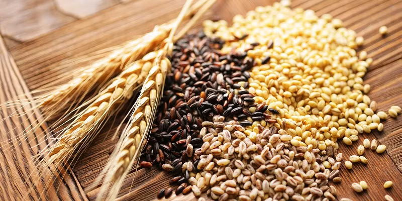 Các loại ngũ cốc nguyên hạt như lúa mạch, gạo lứt, kê, bột yến mạch sẽ giúp cải thiện tình trạng sức khỏe tổng thể của ruột già, từ đó làm ngăn ung thư ruột kết, Thực phẩm dễ thấy hằng ngày là khắc tinh của ung thư ruột