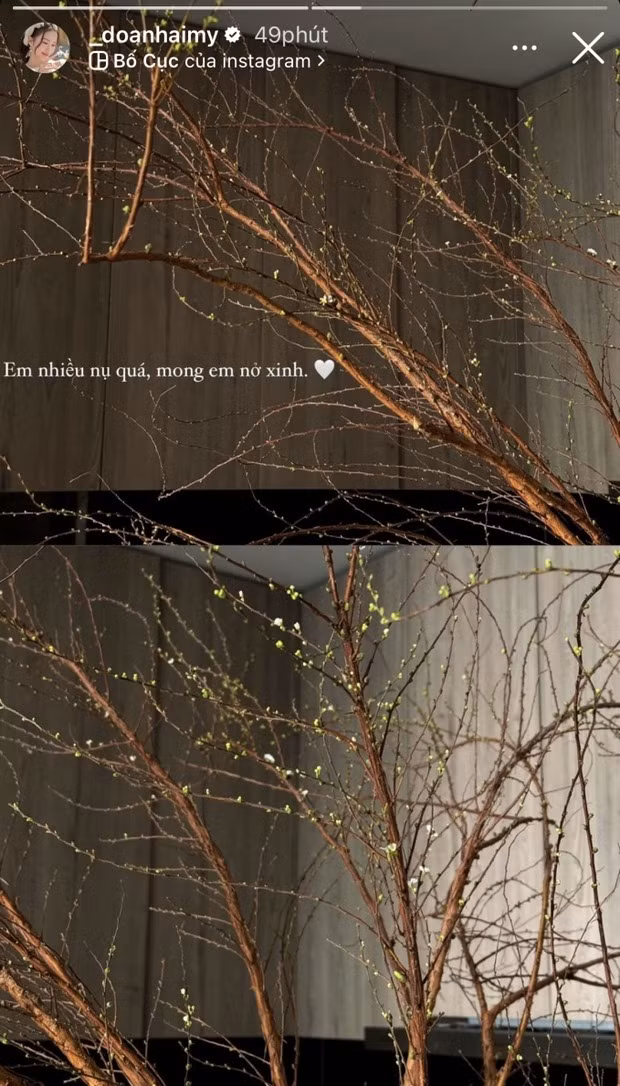 Doãn Hải My mang Tết về nhà với những cành tuyết mai cực xinh. Hải My trổ tài gái đảm trong Xuân đầu tiên làm dâu nhà Văn Hậu