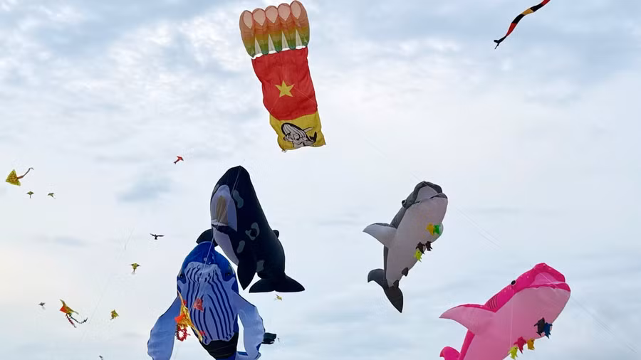 z7783819814738-c647b5a5326f1b25b3568de0b4a8f9ed.jpg