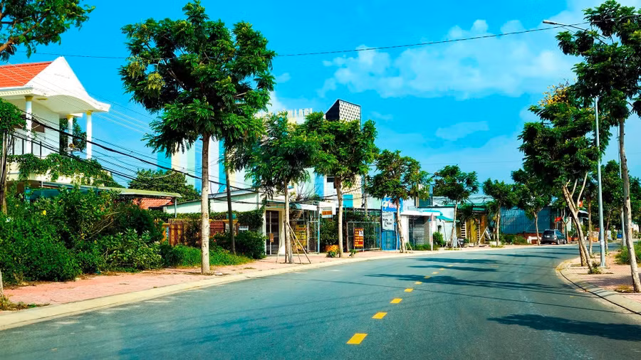 cay-xanh-hai-ben-duong-nguyen-truong-to.jpg