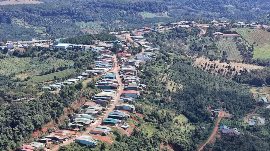 quang-truc.jpg