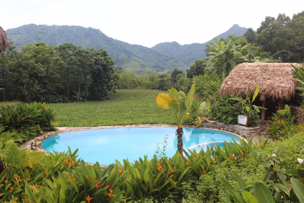 La Bằng hướng tới xây dựng thương hiệu du lịch “Sinh thái - Văn hóa - Trà”.