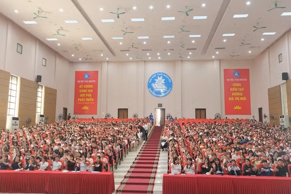 Toàn cảnh sinh viên TUEBA trong tuần sinh hoạt công dân đầu năm học 2026-2027.