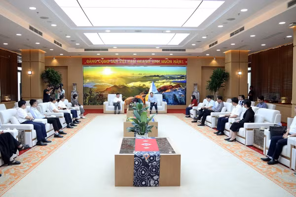 Quang cảnh buổi làm việc.