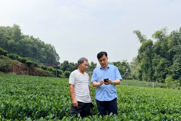 Công tác đào tạo nghề cho lao động nông thôn đang được triển khai theo hướng thiết thực.