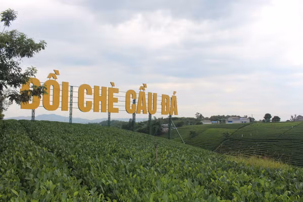 Xã La Bằng, tỉnh Thái Nguyên hiện có diện tích 1.135,7ha chè.