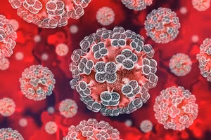 Chuyên gia lên tiếng về 'hiểm họa toàn cầu mang tên virus Hanta'