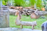 dsc-9870.jpg