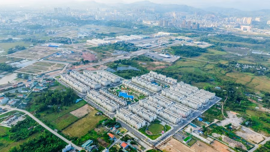 mong-cai-2.jpg