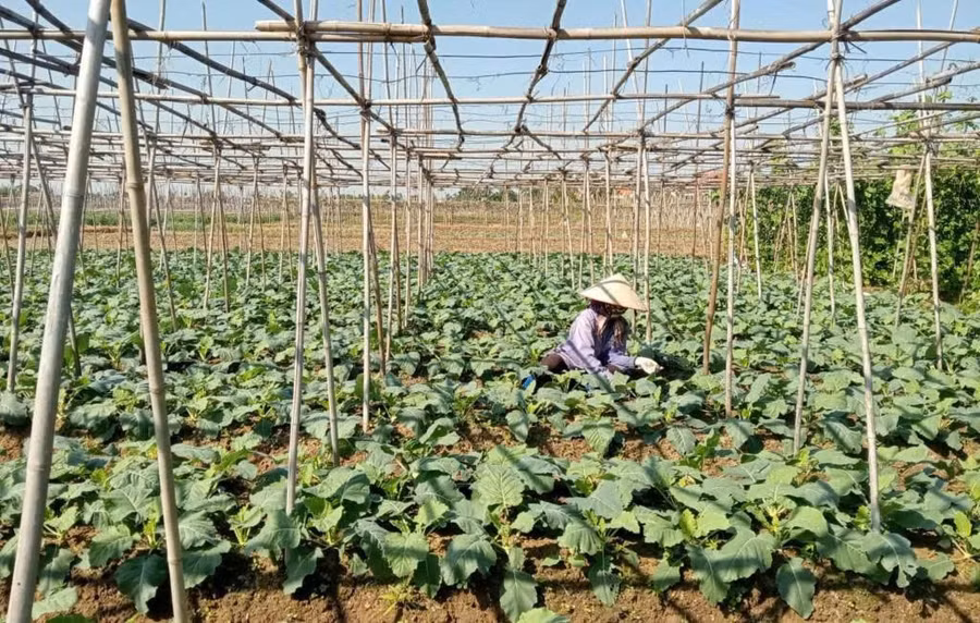 quang-ninh.jpg