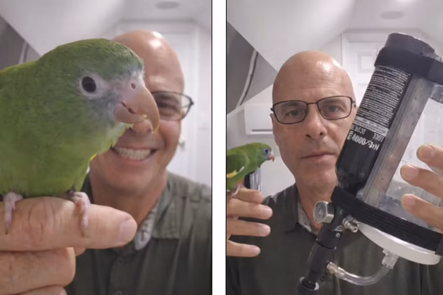 vet.png