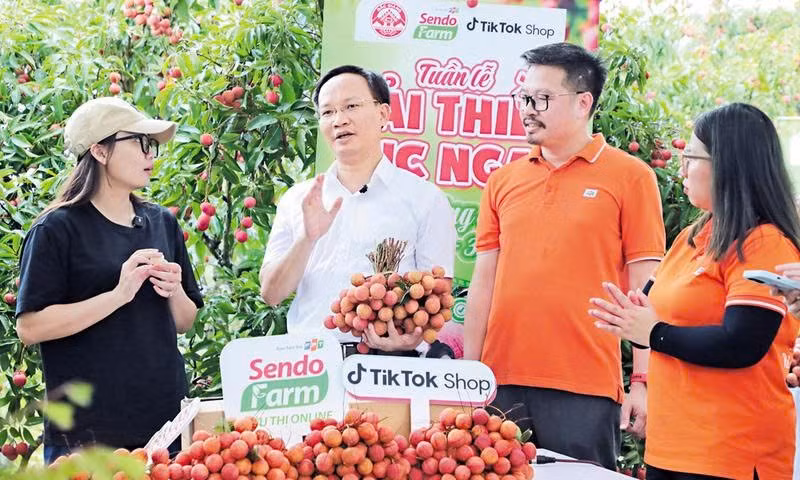 Phó Chủ tịch UBND tỉnh Bắc Ninh Phạm Văn Thịnh (áo trắng) tham gia buổi livestream, giúp bà con nông dân bán vải thiều. Ảnh: Khương Lực