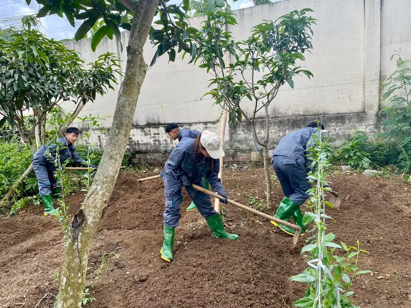 Sơn La đẩy mạnh đào tạo ngành Trồng trọt và Bảo vệ thực vật cho sinh viên