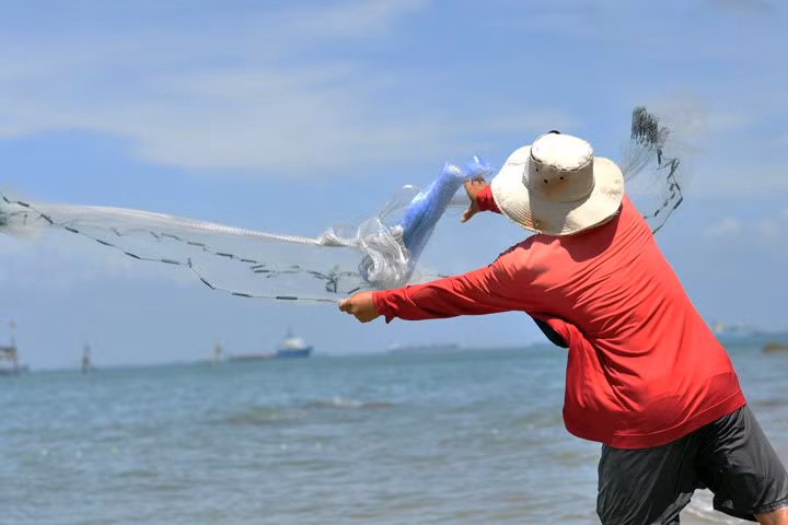 Cha truyền con nối nghề ném đá lùa cá vào bờ ở biển Vũng Tàu