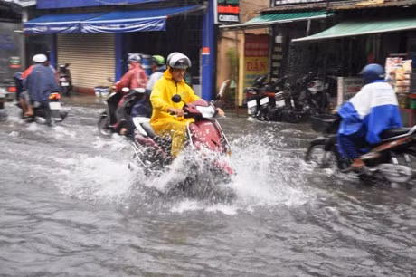 Mua tam ta, nhieu noi o Sai Gon duoc 
