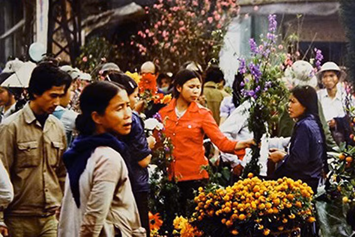 Tiền bị mối ăn, mẹ nghèo khóc ròng vì mất Tết
