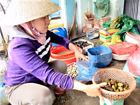 San chem chep tren song Thi Vai - Anh 1
