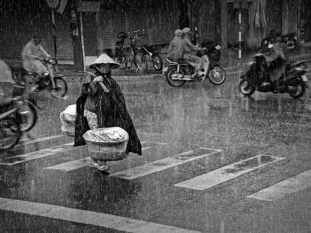 Chiều mưa - Trương Minh Điền