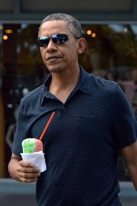 Ly do ong Obama la Tong thong 
