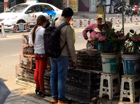 Rất nhiều người dân chọn mua chim đem vào chùa phóng sinh.
