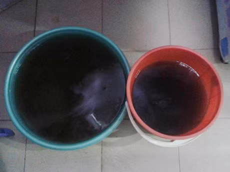 Nuoc sach mau den, ky sinh trung lom ngom o KDT Ha Noi - Anh 3
