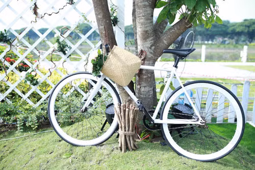 Bất ngờ với vườn hồng lớn nhất Việt Nam - 5