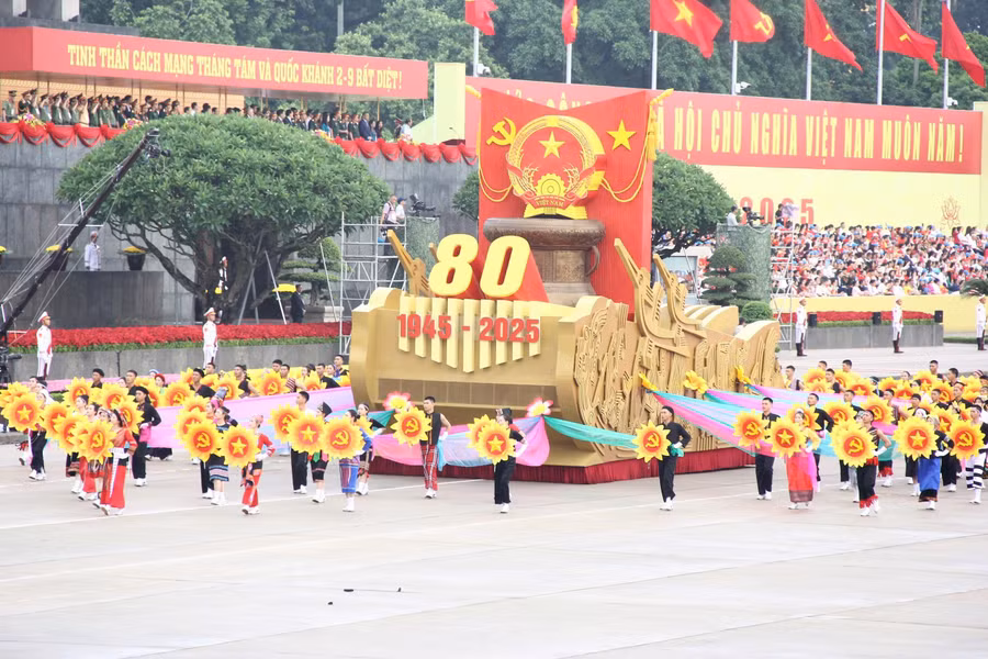 d9.jpg