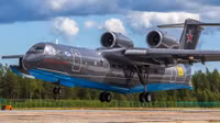 be-200-crash-top.jpg