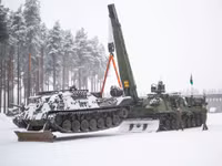 norwegian-wisent-2-arv-1024x767.jpg