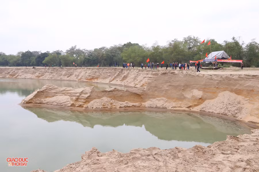 cat3.jpg