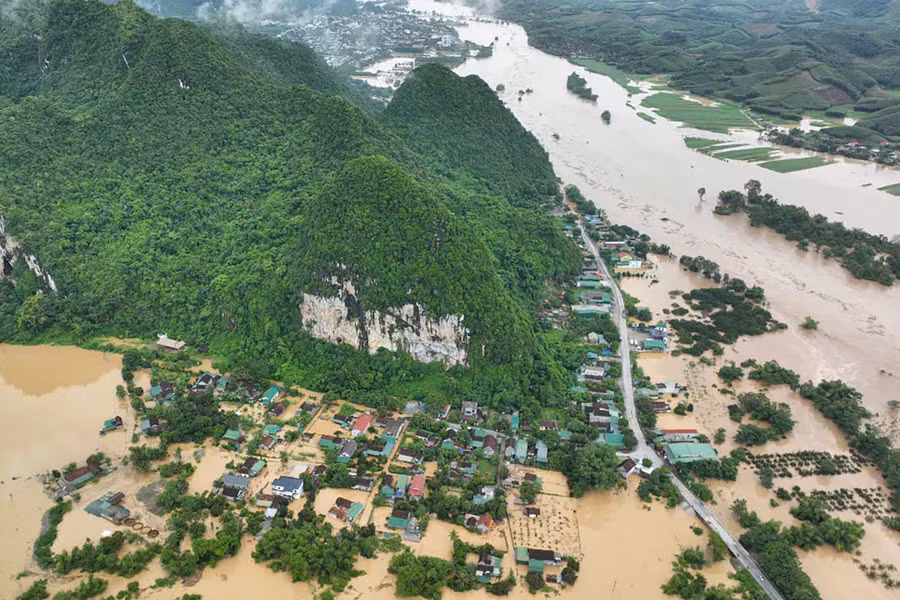 concuong2.jpg