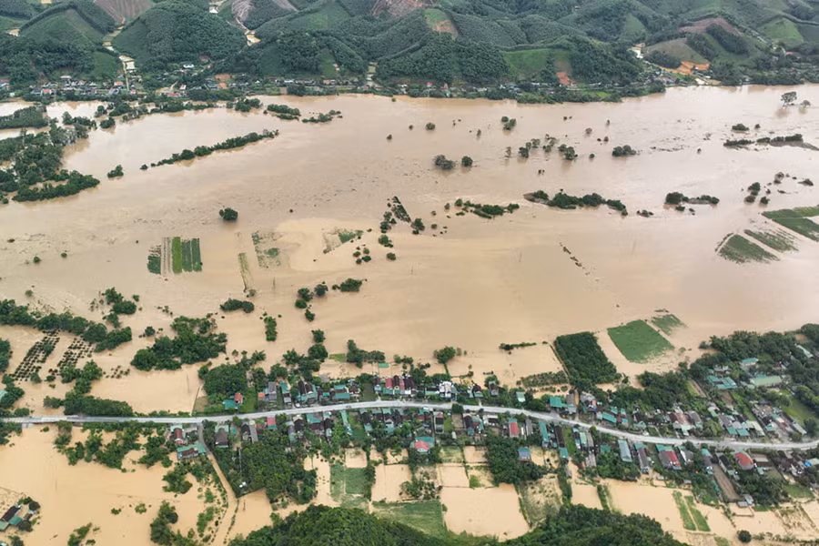 concuong4.jpg