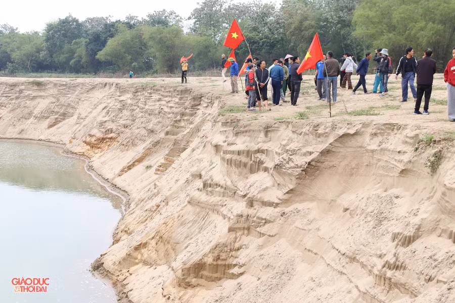 cat5.jpg