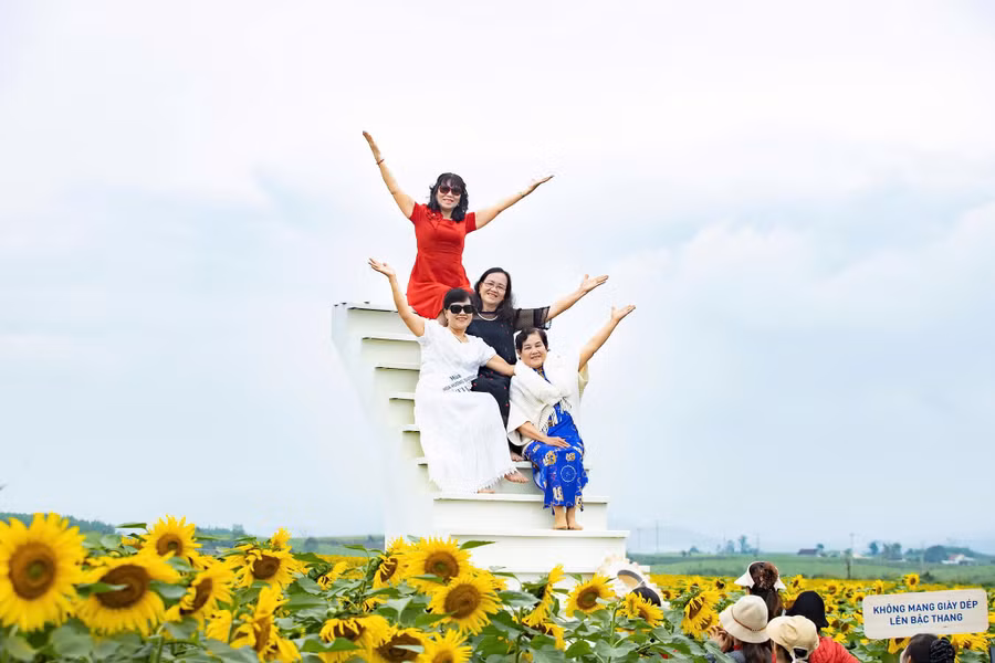 hoa-huong-duong-3.jpg