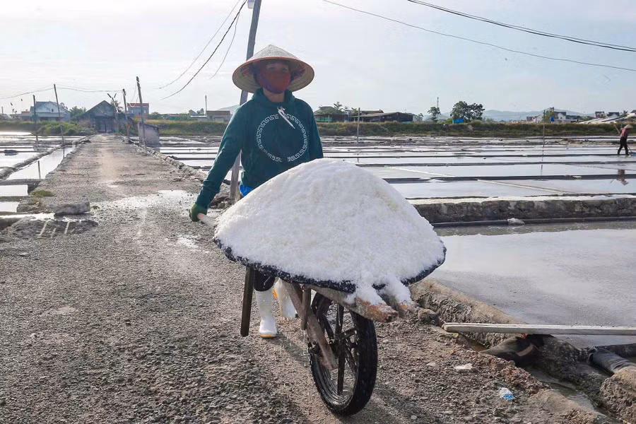 muoi-nghe-an-1.jpg