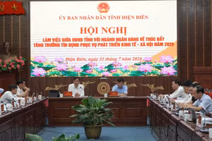 Toàn cảnh hội nghị.