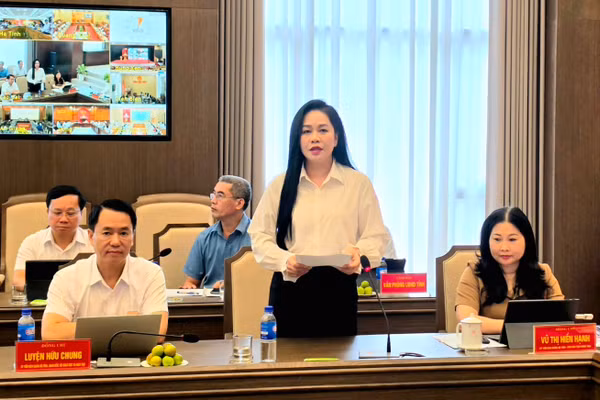 Đại biểu tỉnh Lào Cai phát biểu.