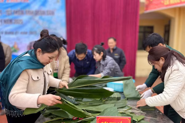 Hội viên phụ nữ tham gia thi gói bánh chưng xanh.
