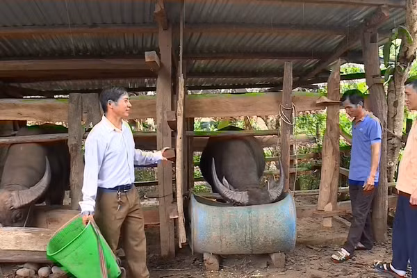Ông Sùng Vảng Say (bên trái) là tấm gương điển hình trong phát triển kinh tế gia đình.