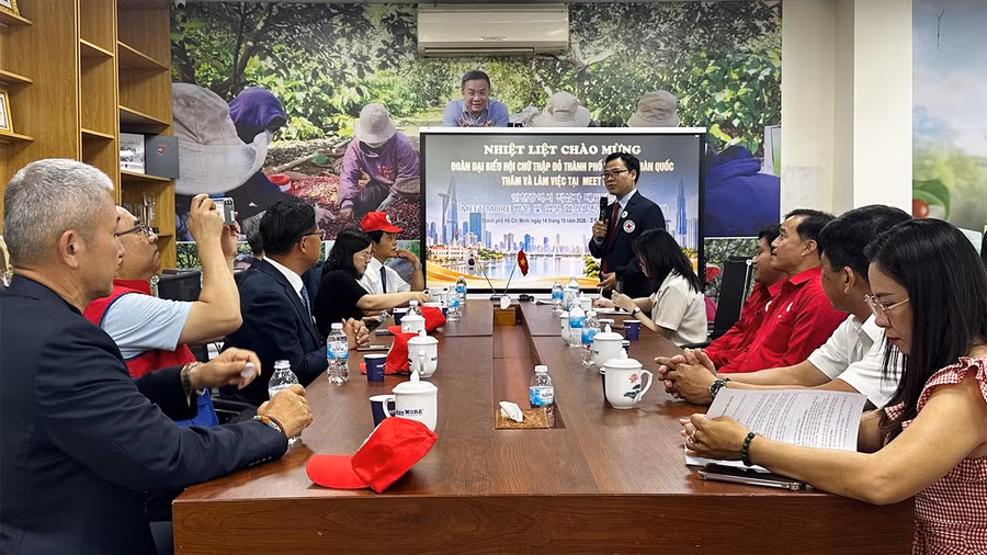 tai-cty-meet-more.jpg