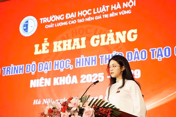 Nguyễn Bảo An cựu học sinh Trường THPT Anh Sơn (Nghệ An).