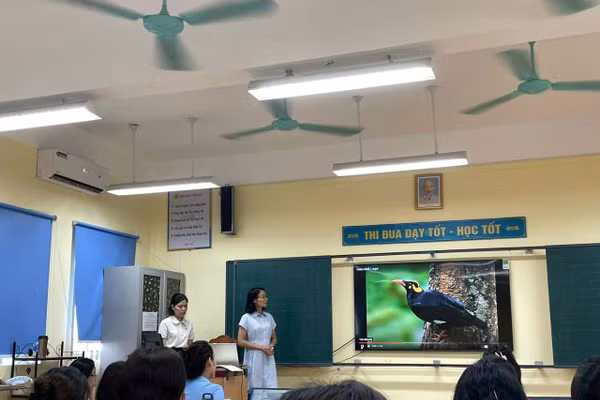 Trường Tiểu học Phúc Đồng xác định chuyển đổi số là chìa khóa để nâng cao hiệu quả vận hành. Ảnh NT.