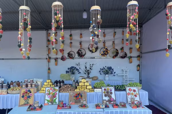 Biến những quả thông thành sản phẩm thủ công, truyền đi văn hoá của địa phương.