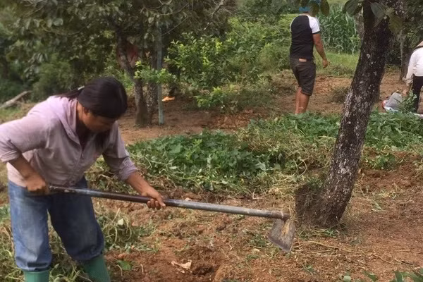 Thay đổi tư duy phát triển kinh tế nhờ các lớp học nghề cho người dân nghèo