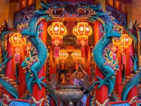 hang-tram-trieu-nguoi-khap-chau-a-mung-nam-con-ran-7.jpg